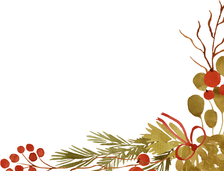 holly branches illustration