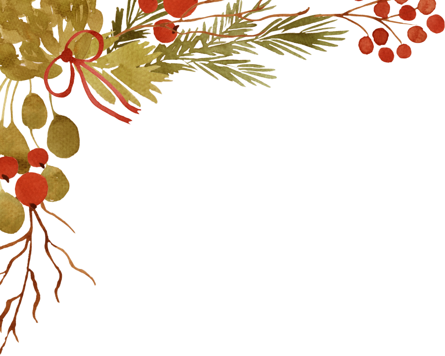 illustration of bouquet of holly branches