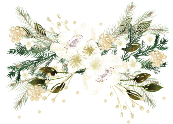 windflower bouquet with pine branches illustration