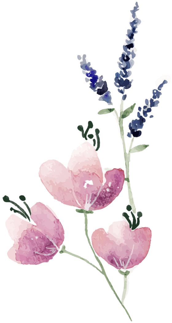 pink and indigo flowers