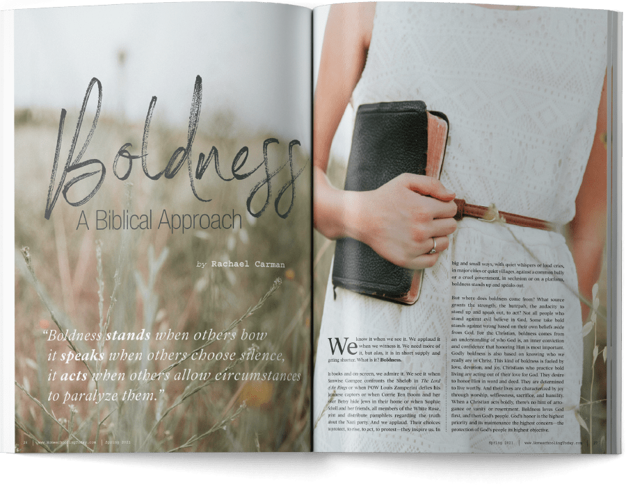 Boldness: A Biblical Approach magazine article mockup