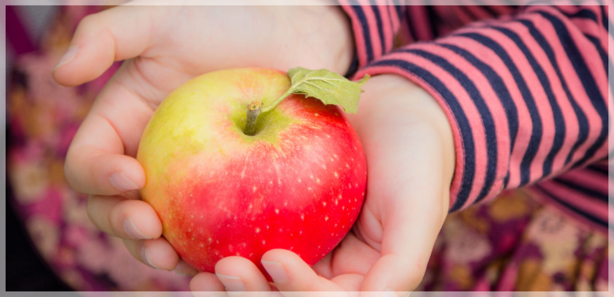 Closeup of an apple in a child's hands