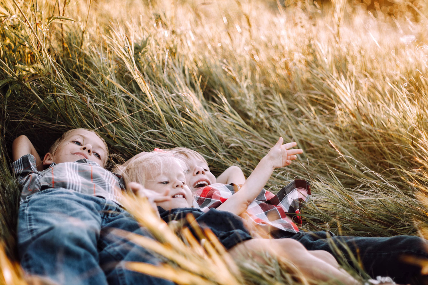 Kids laying in the tall grass together