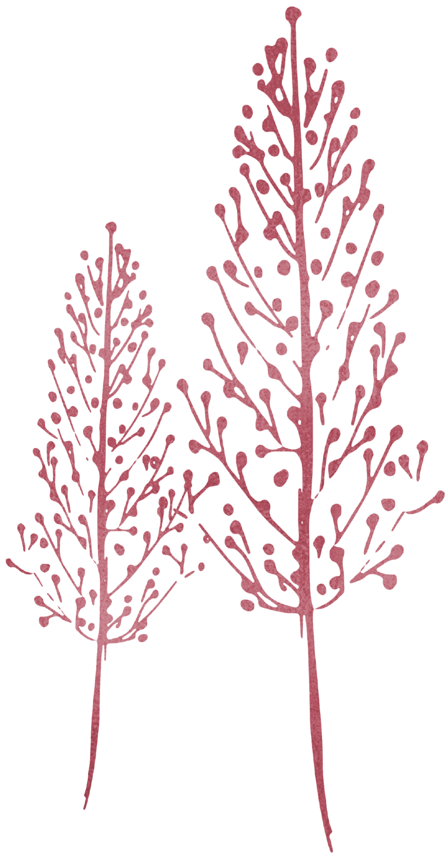 a graphic of two trees