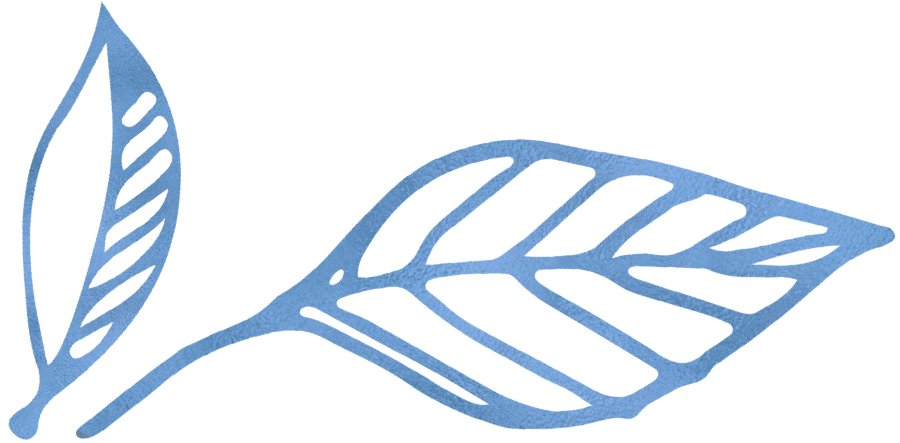 blue leaf graphic