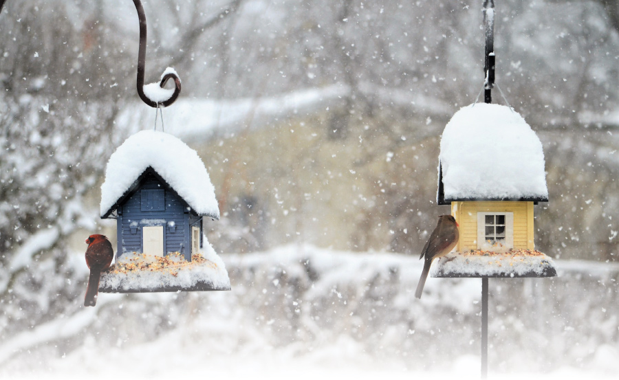 Two birdhouses covered in snow