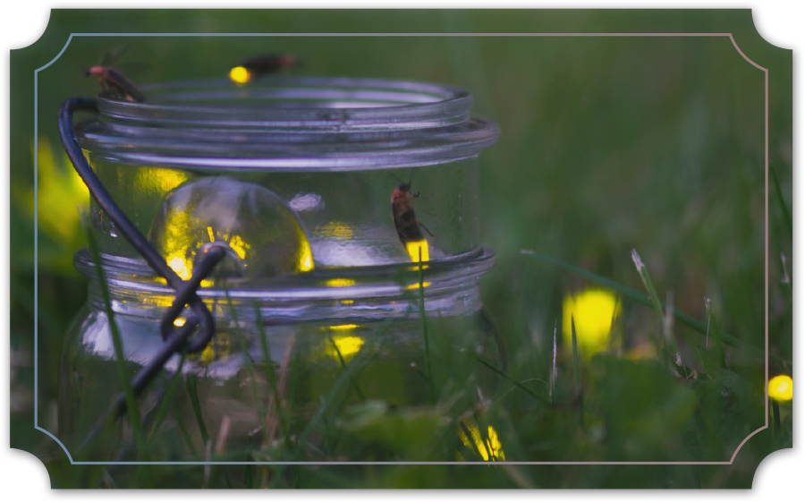 jar in grass with fireflies inside