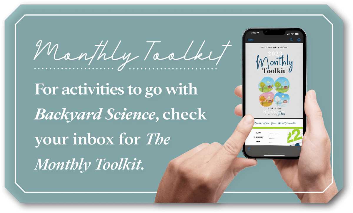 Monthly Toolkit graphic