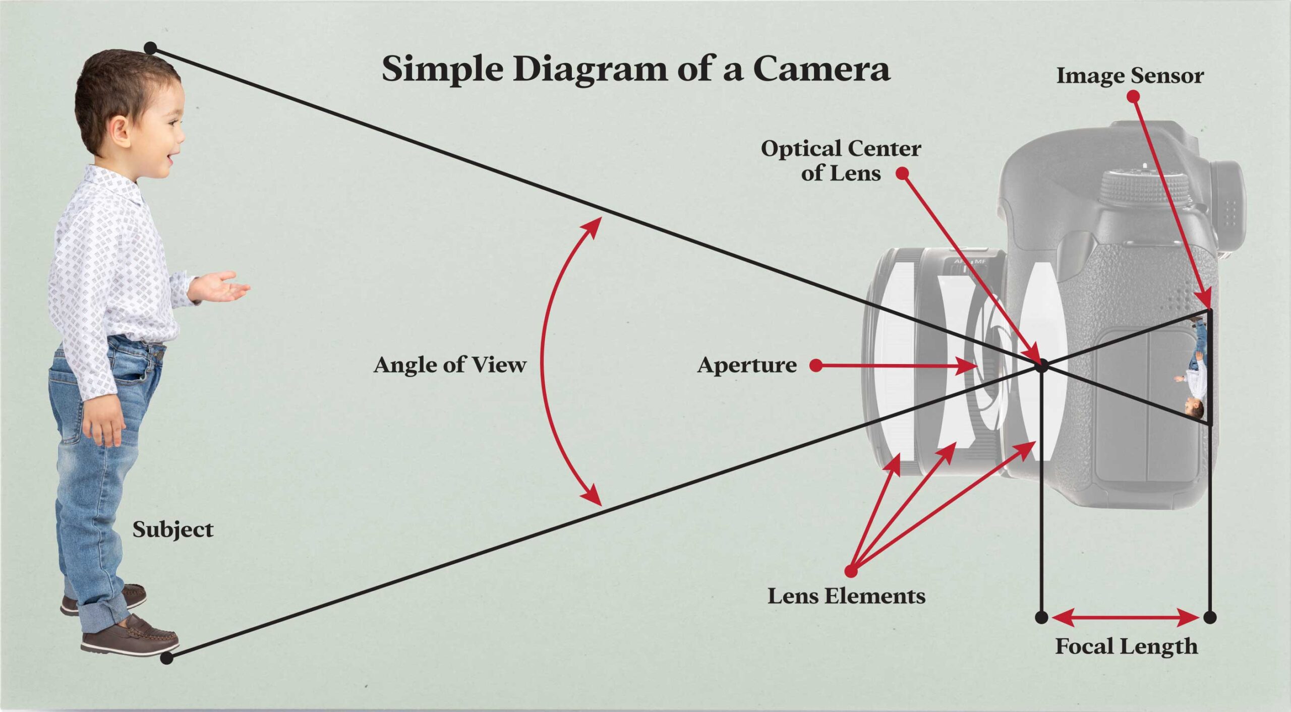 Diagram of the parts of a camera and how it sees a person