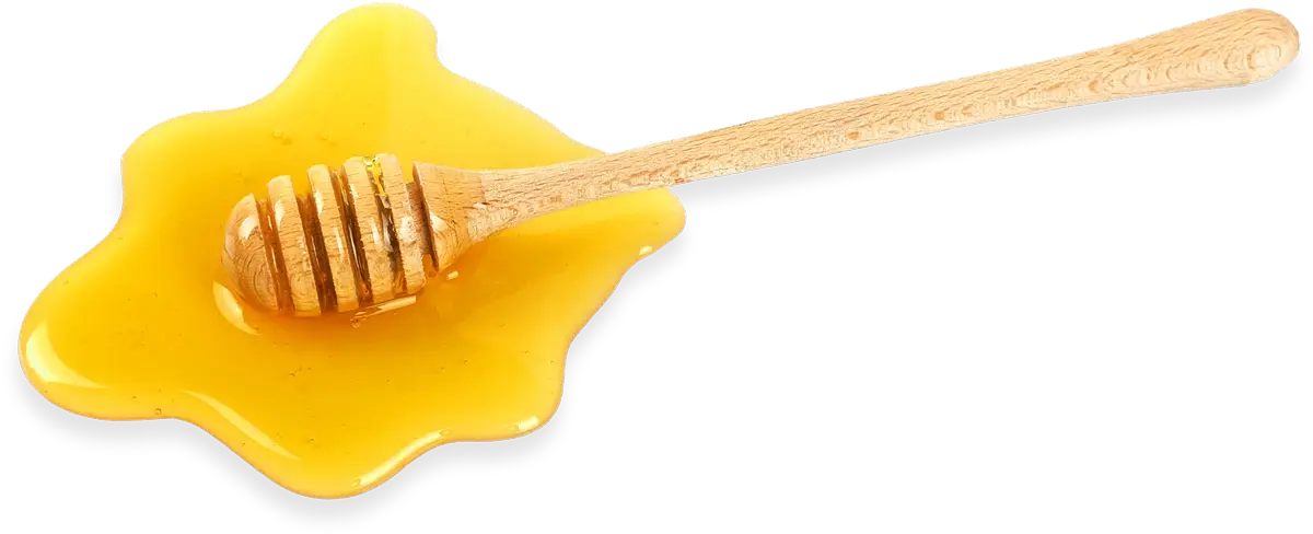 a wooden honey dipper sitting in a little pool of honey on a surface