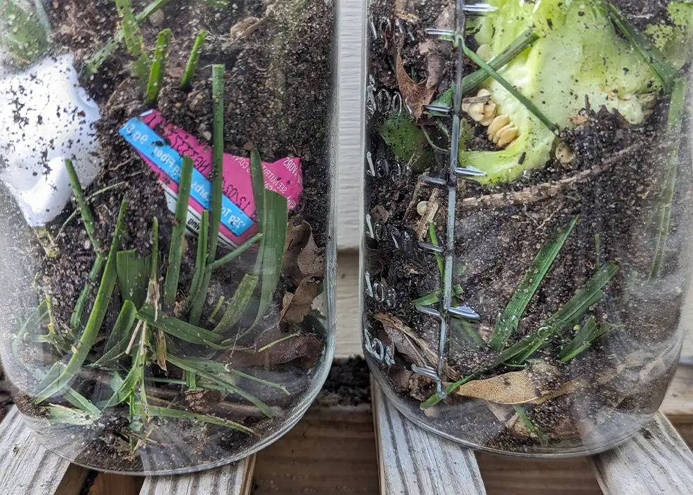 two jars filled with compost