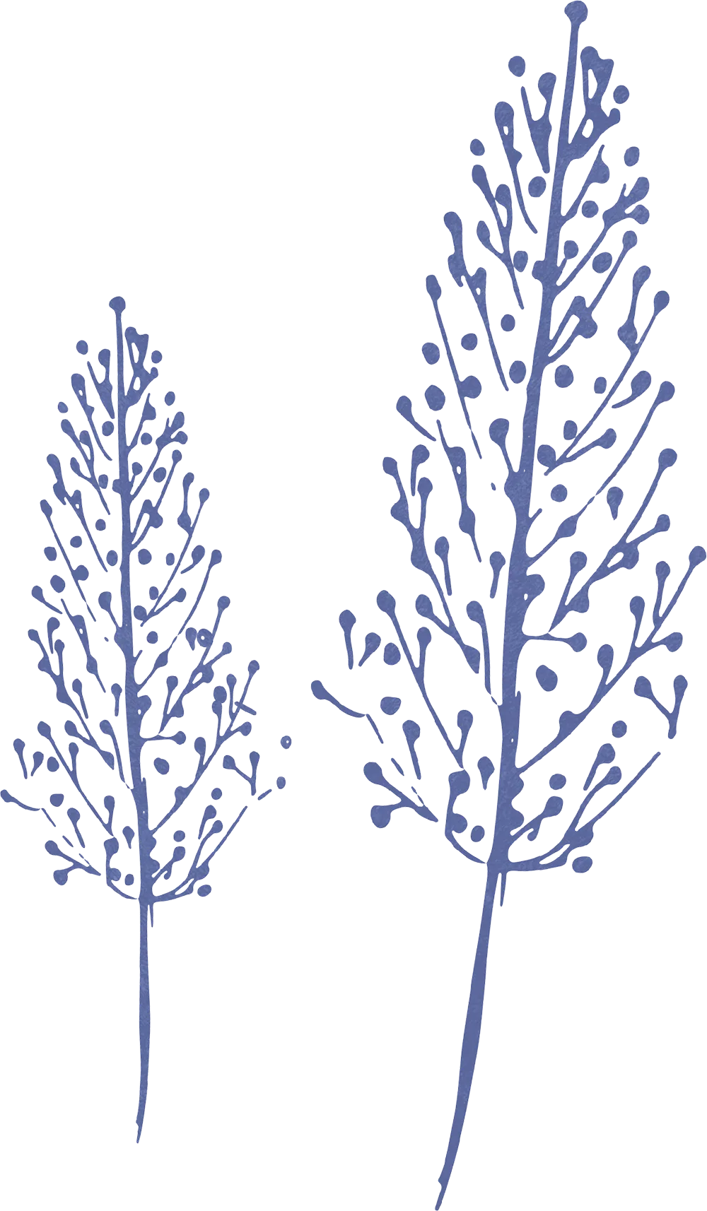 vector illustration of trees