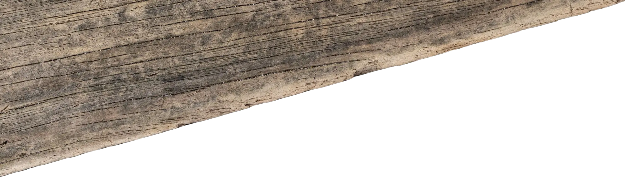 Harvesting Health typography