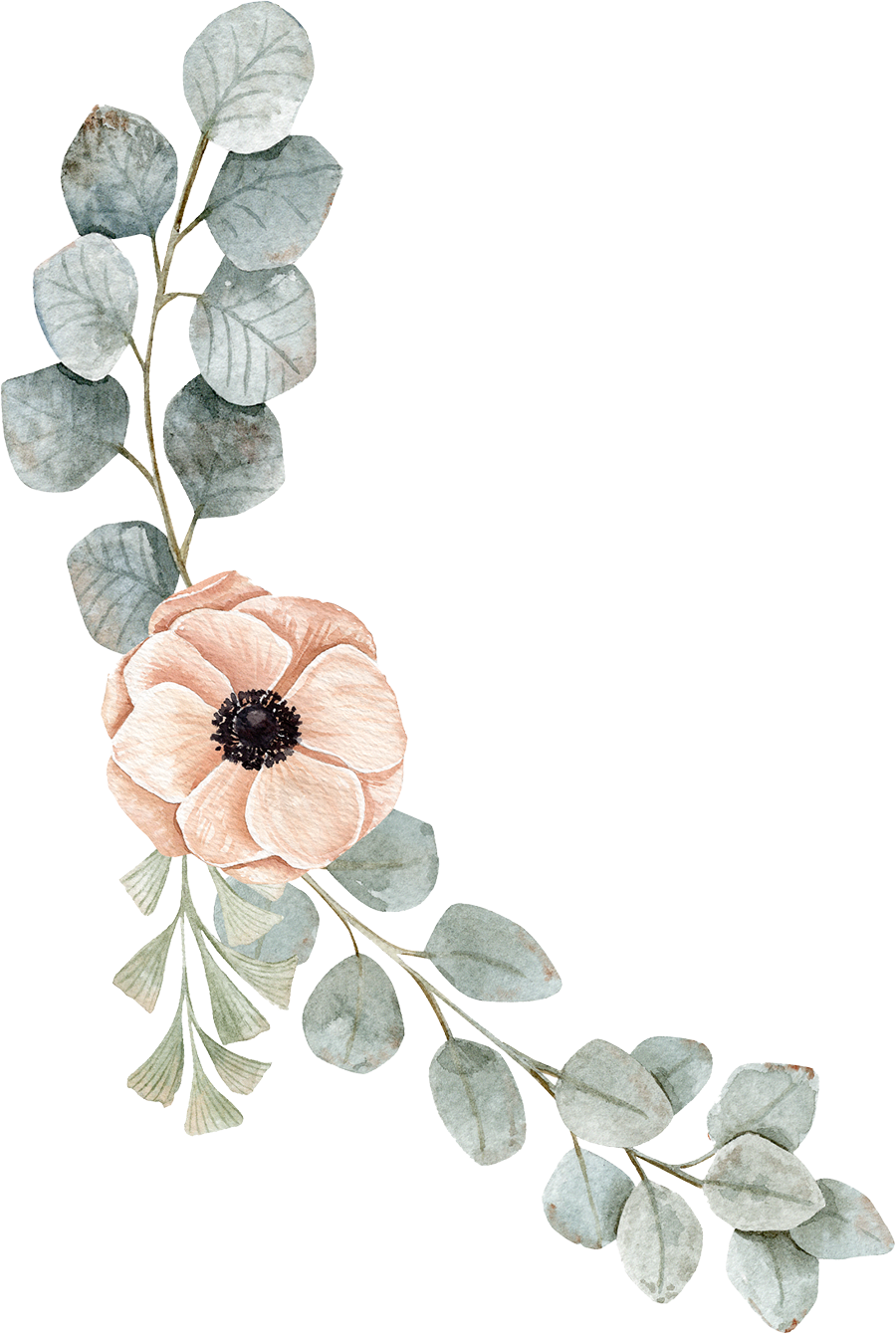 wind flower with eucalyptus leaves