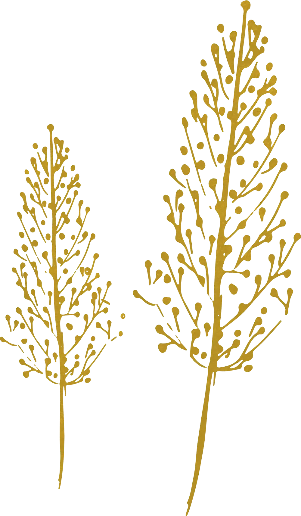 vector illustration of trees