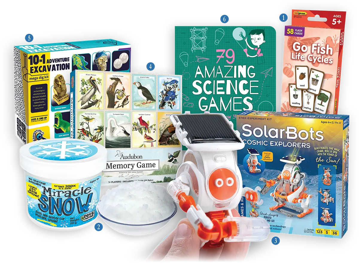 A collection of children's educational science and STEM toys, including a SolarBots robot kit, 10-in-1 Adventure Excavation, Audubon Memory Game, Miracle Snow, 79 Amazing Science Games book, and Go Fish Life Cycles cards.