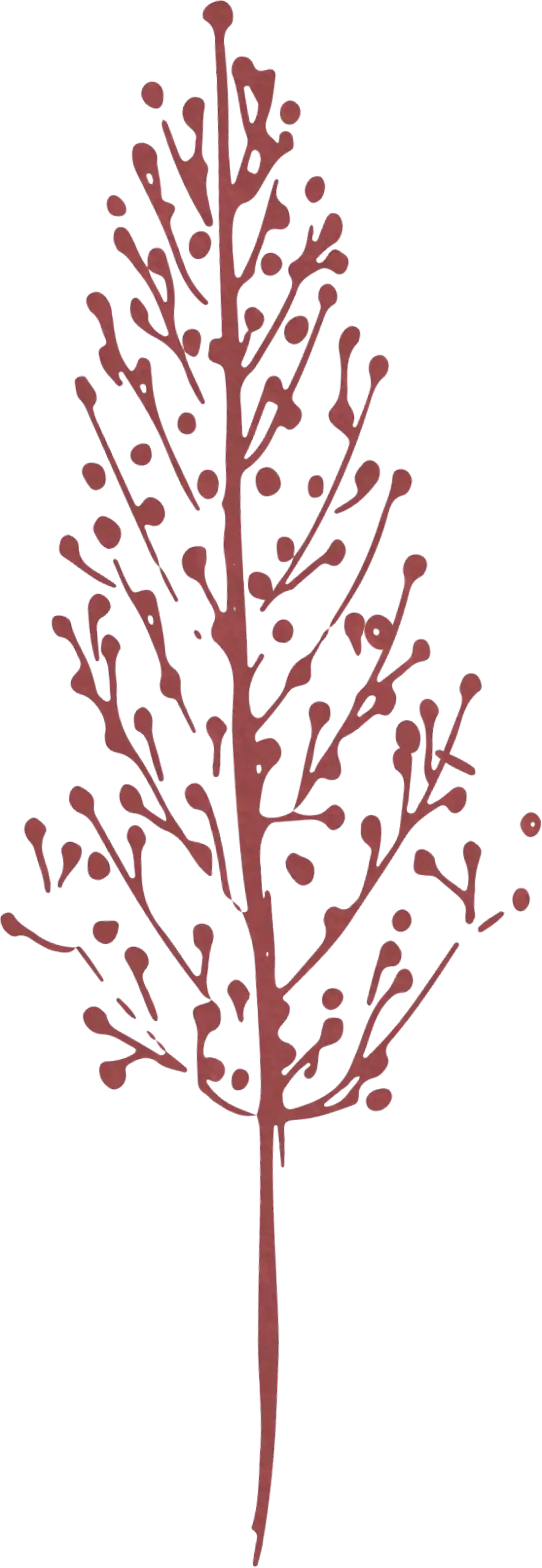 vector illustration of a tree