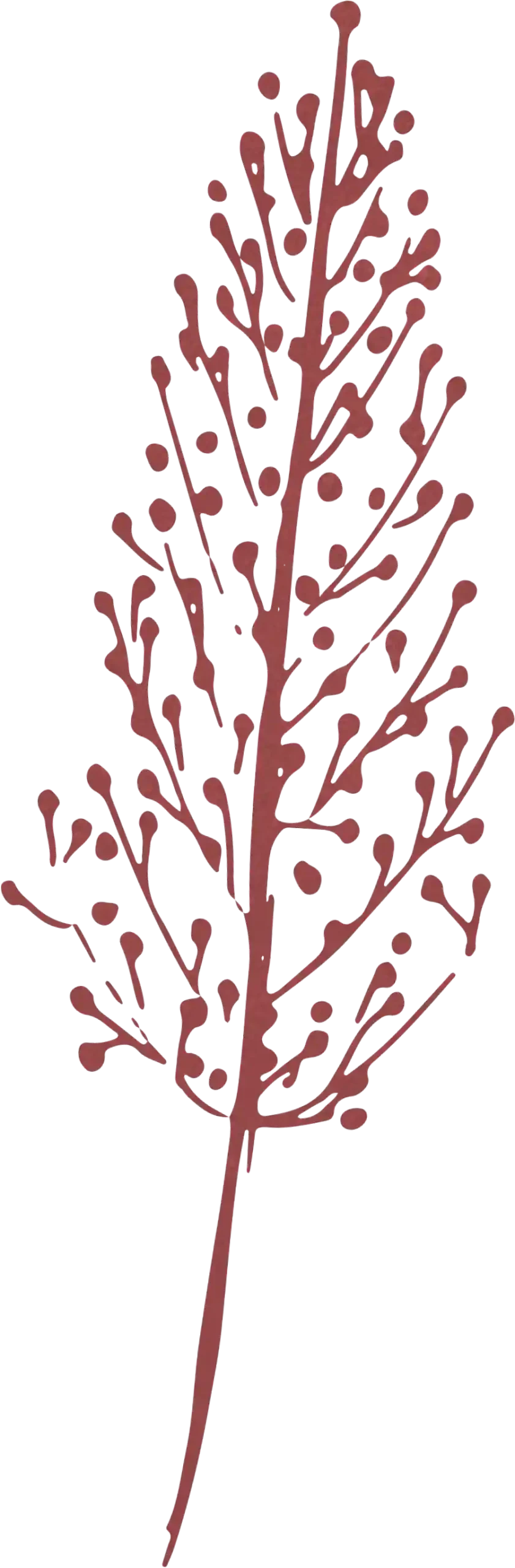 vector illustration of a tree