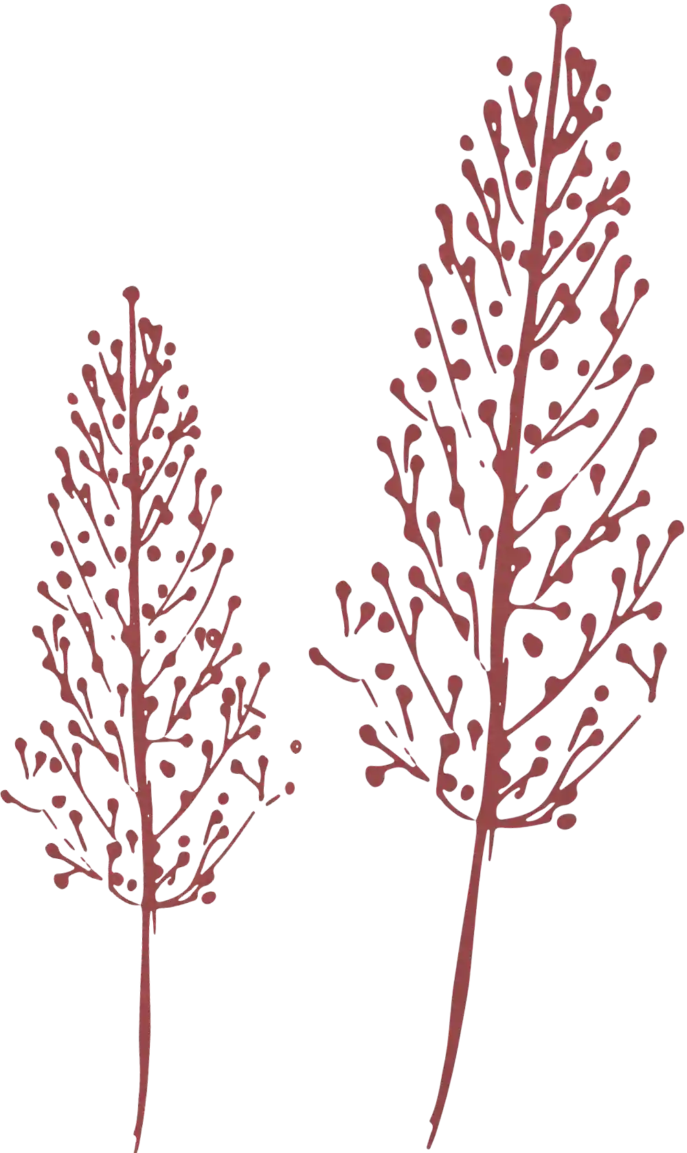 vector illustration of trees